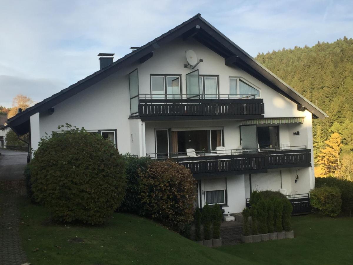 Ferienwohnungen Lang Willingen  Exterior photo