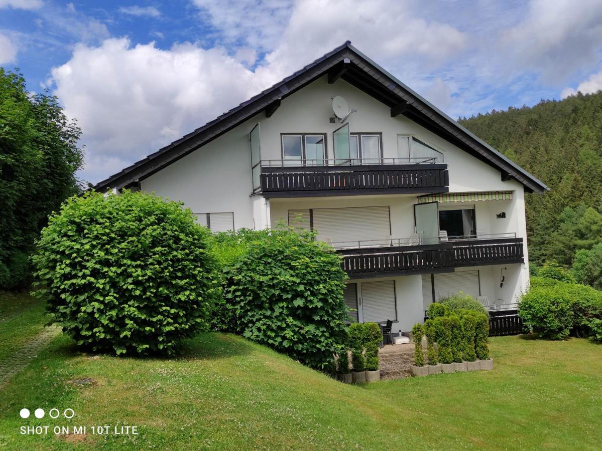 Ferienwohnungen Lang Willingen  Exterior photo